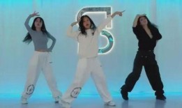 妈妈爆料舞蹈视频大全,欢乐时光，舞动青春风采