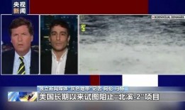 外国新闻记者爆料案例,真实事件背后的真相与挑战